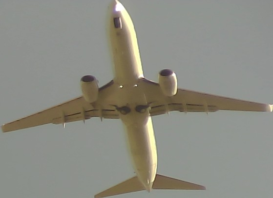 Airplane Picture
