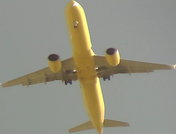 Airplane Picture