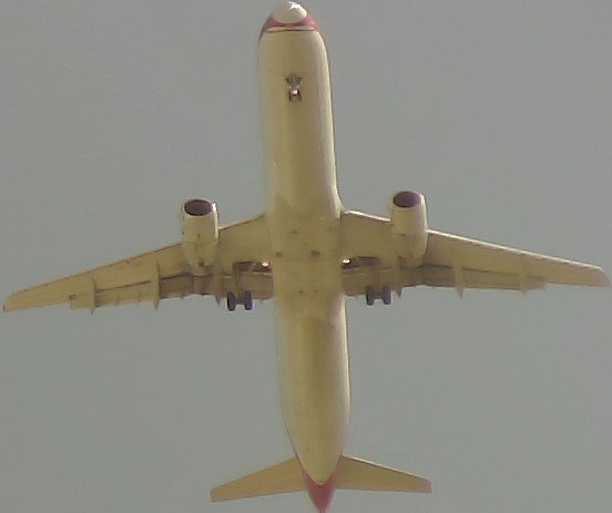 Airplane Picture