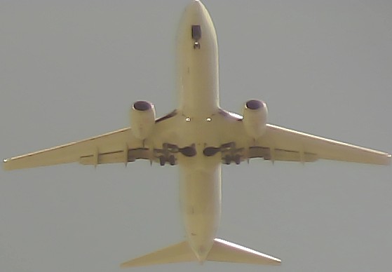 Airplane Picture