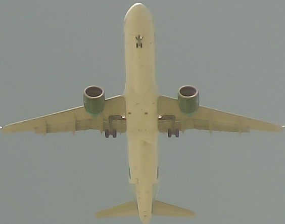 Airplane Picture