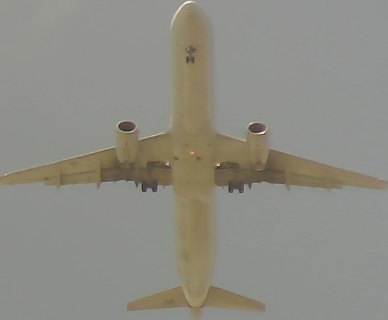 Airplane Picture