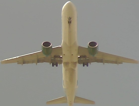Airplane Picture