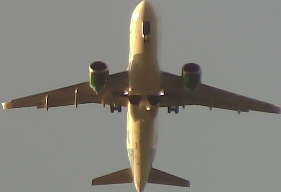 Airplane Picture