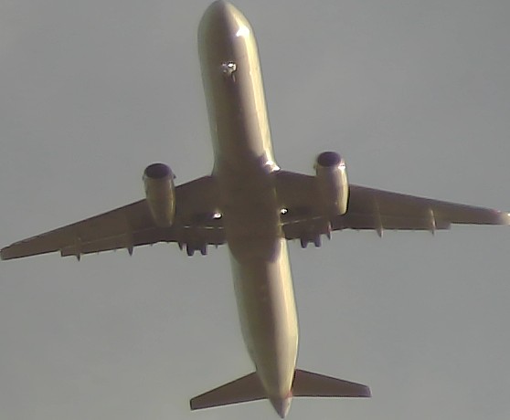 Airplane Picture