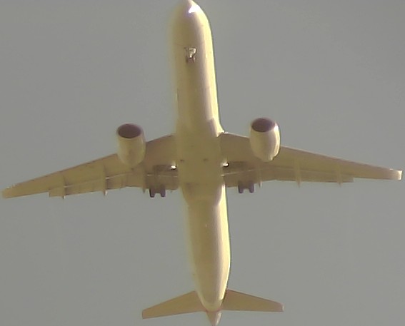 Airplane Picture
