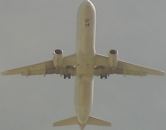Airplane Picture
