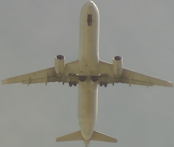Airplane Picture