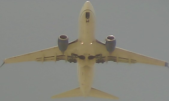 Airplane Picture