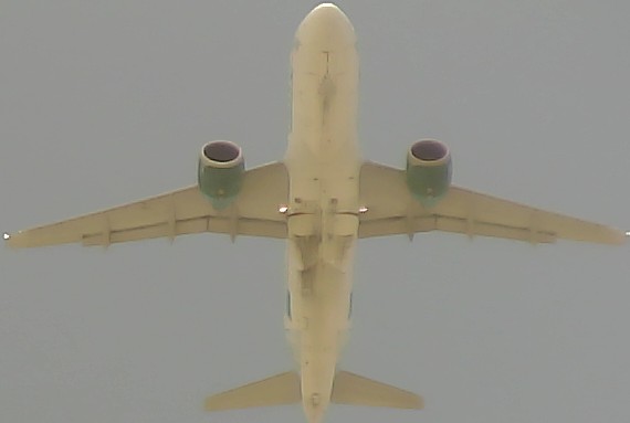 Airplane Picture