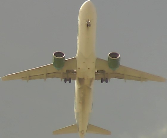 Airplane Picture