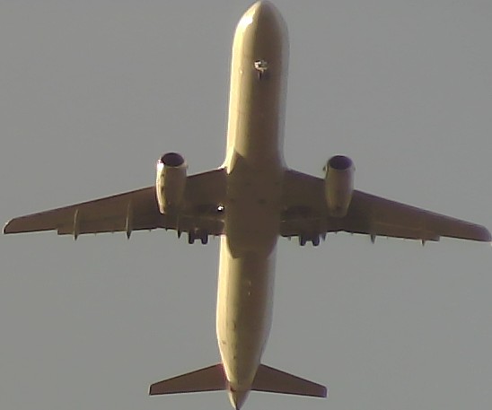 Airplane Picture