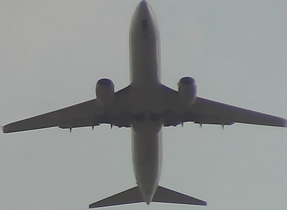 Airplane Picture