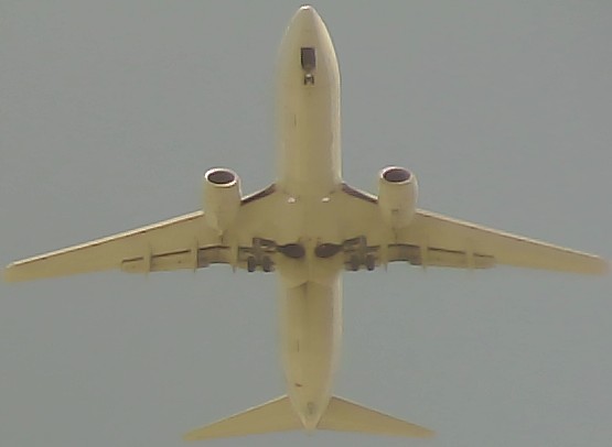 Airplane Picture