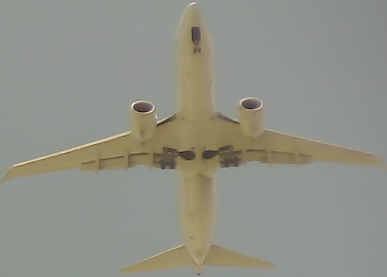 Airplane Picture