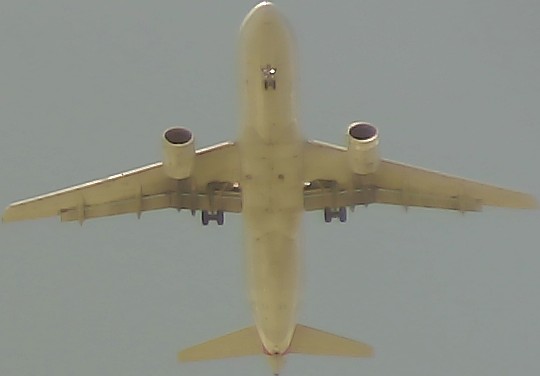 Airplane Picture