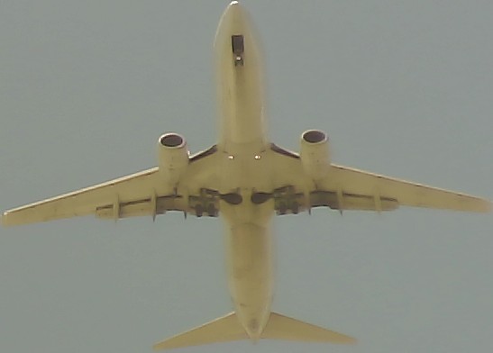 Airplane Picture