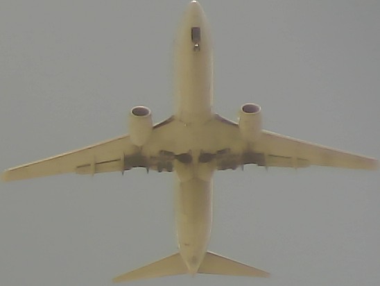 Airplane Picture