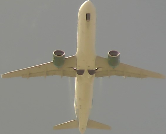 Airplane Picture