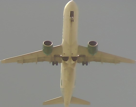 Airplane Picture