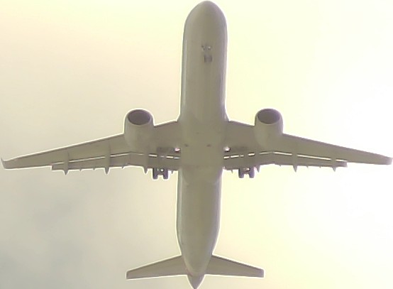 Airplane Picture