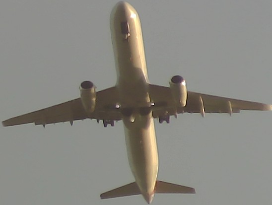 Airplane Picture