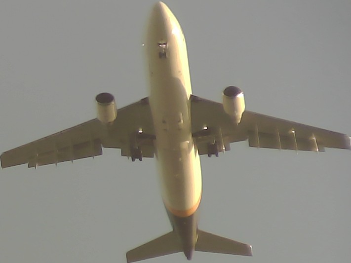 Airplane Picture