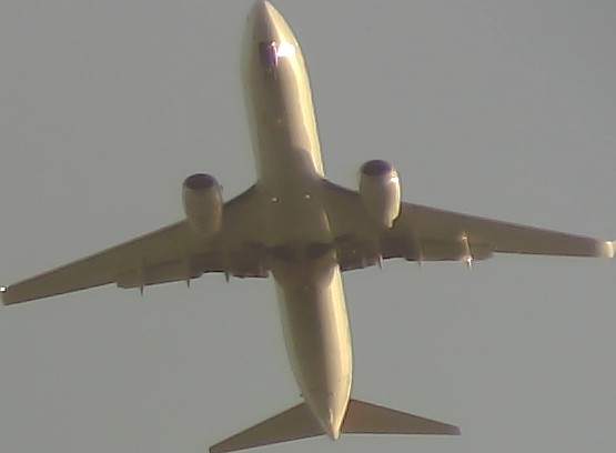 Airplane Picture