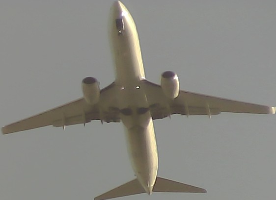 Airplane Picture