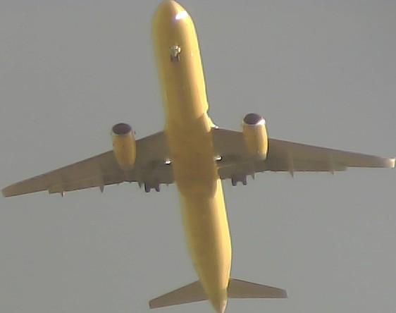 Airplane Picture