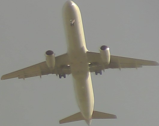 Airplane Picture