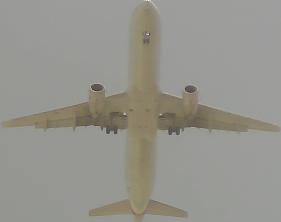 Airplane Picture