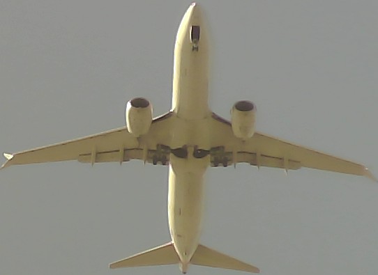 Airplane Picture