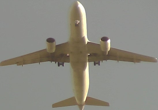 Airplane Picture