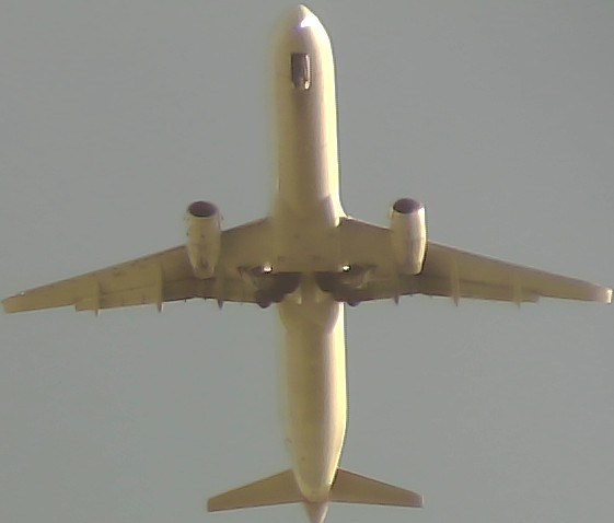 Airplane Picture