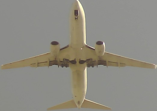 Airplane Picture