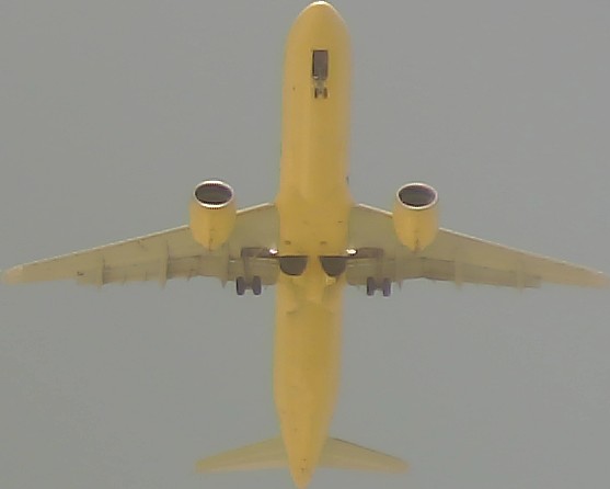 Airplane Picture