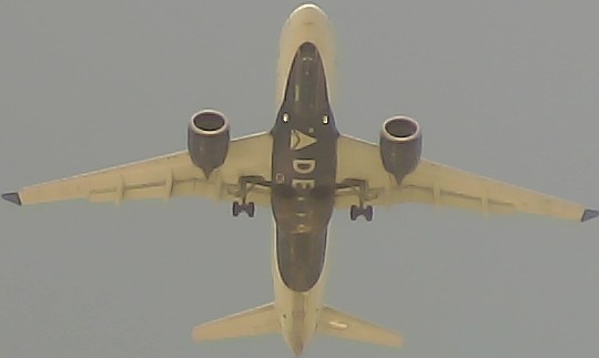 Airplane Picture