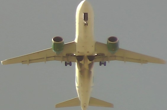 Airplane Picture