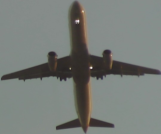 Airplane Picture