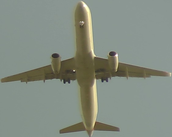 Airplane Picture