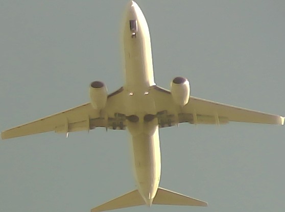 Airplane Picture