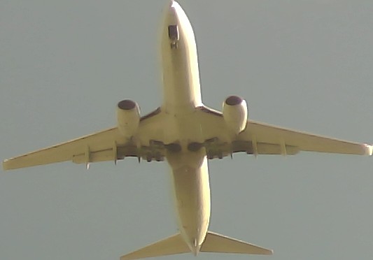 Airplane Picture