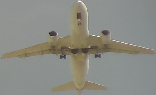 Airplane Picture