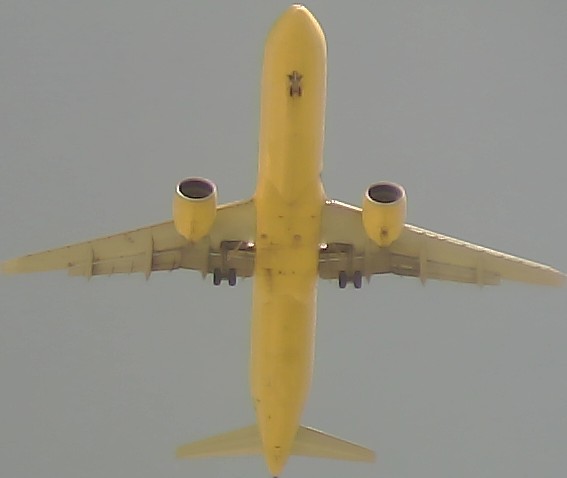 Airplane Picture
