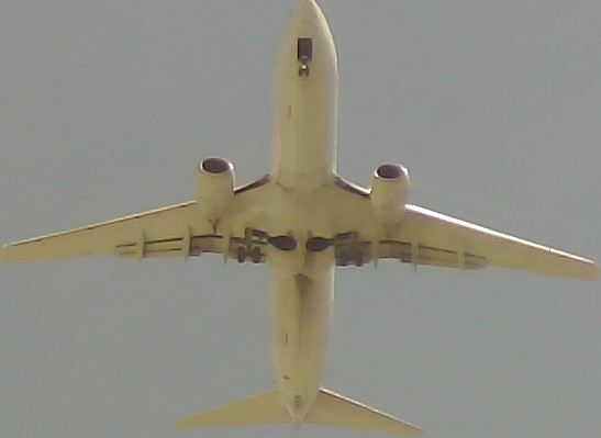 Airplane Picture