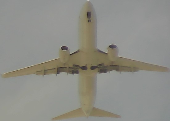 Airplane Picture