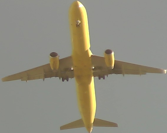 Airplane Picture