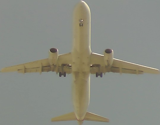 Airplane Picture