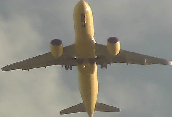 Airplane Picture